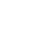 diploma-1